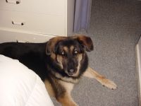 Max