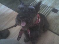Gretel