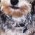 Tucker