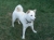 Jax