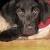 Barrett (Bear) Neher