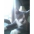 Gladys