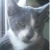 Gladys