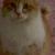 Chester