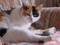 Cleopatra
