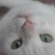 Felix