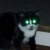 Callie