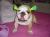 Benson