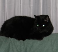 Spook (R.I.P 2006)