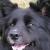 Mollie