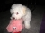 Binky