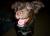 Roxy