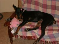 Cloe