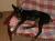 Cloe