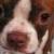 Miss. Maggie