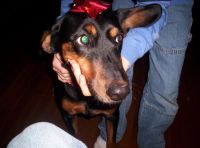 Brandy
