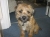 Monty
