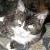 Bootsie Collins