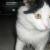 MisS PrIss